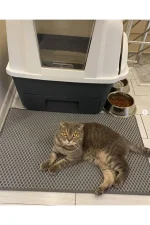 Kedi Tuvaleti önü Paspası Kedi  Kumu Paspası